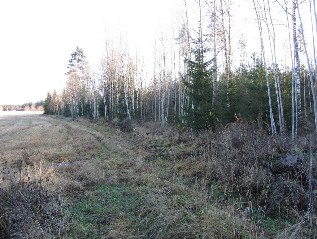 Rakennetun ympäristön arvot Suunnittelualueen lähiympäristössä ei sijaitse valtakunnallisesti merkittäviin rakennettuihin kulttuuriympäristöihin (RKY) eikä maakunnallisesti arvokkaisiin