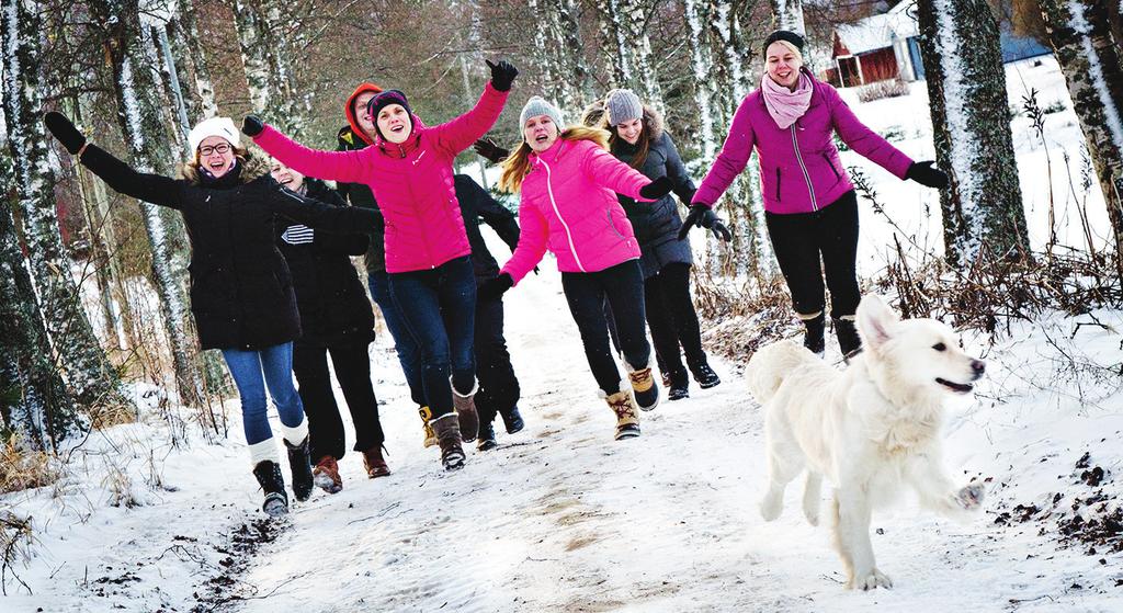 Kirsi Tammi Kankaanpään A-koti A-kodin perustehtävänä on tarjota laadukasta kuntoutusta päihderiippuvuuteen ja muihin riippuvuuksiin naisille, miehille ja perheille.