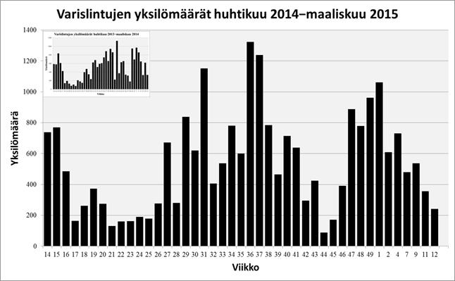 2. Tulokset 2.1. Varislintulajisto ja yksilömäärät 2.1.1. Varislintujen yhteismäärät Laskennoissa havaittiin kuusi varislintulajia, korppi, varis, naakka, mustavaris, harakka ja närhi.