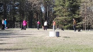 Koulutuksen tarkoituksena oli tarjota apua ja harjoittelua koirien perus- ja arkihallinnan osalta ja koulutuksiin ei sisältynyt