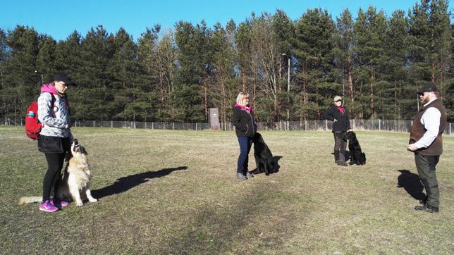 Tulijoita koulutukseen olisi kuitenkin ollut huomattavasti enemmän ja tästä johtuen on syyskaudelle suunnitteilla enemmän vastaavia