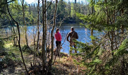 Murtomaa lbn Namusillan Piparminttu-Pipsa ja Marjaana Kousa lbu Jummi-Jammin Ragnar Lothbrok ja Kalle Venäläinen lbu Eagle Owl s Voyager ja Anna Tikka iltapäivä lbn Wellspring Belle Of The Ball ja