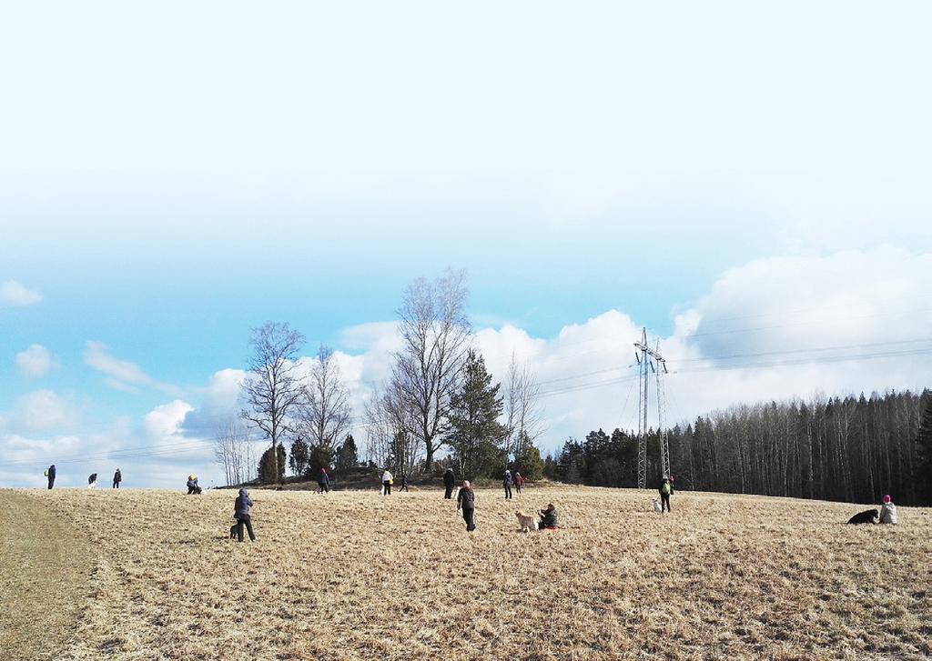 nome nome nome nome nome nome nome nome nome nome nome nome nome nome Teksti: Riitta Jeramo Kuvat: Kattelus Taipumuskoekoulutus Varma kevään merkki on alkavat NOU/NOMEkoulutukset.