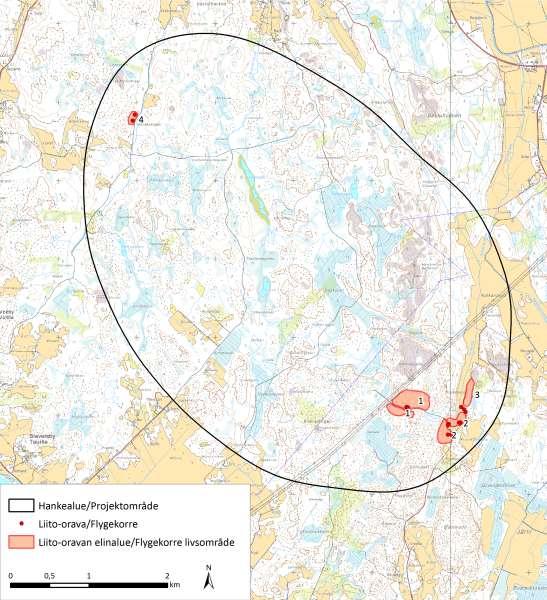 Kuva 10.14. Liito-oravan elinalueet Merkkikallion tuulivoimapuiston hankealueella.