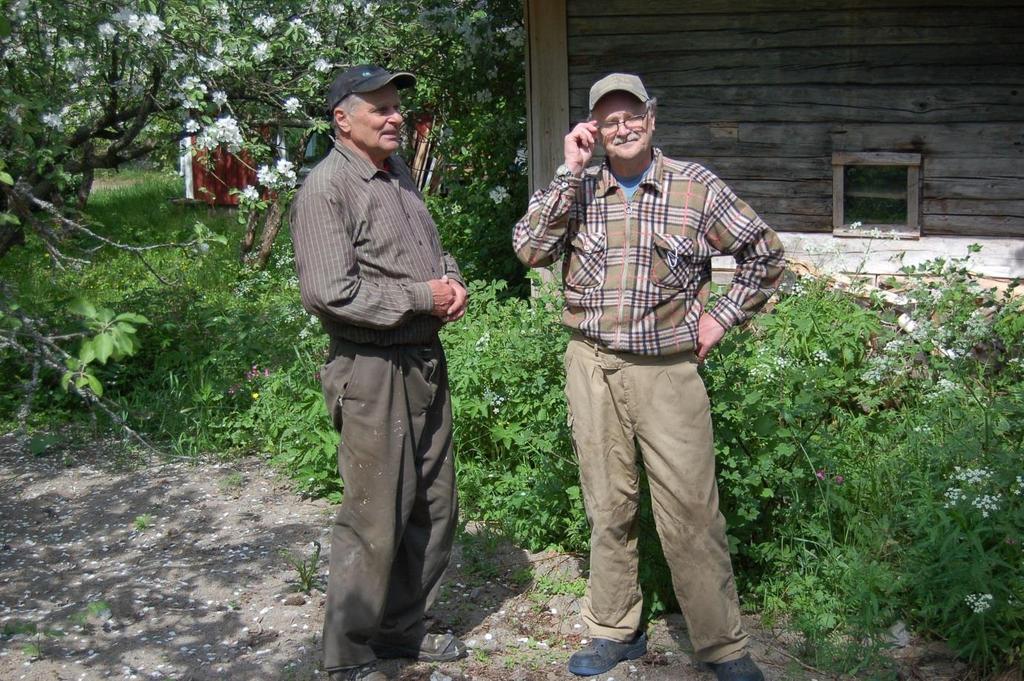 3 Seppo (vas.) ja Osmo Rantasalo. Kuva: Juhani Mellanoura. Meillä kotonä Seppo: Meillä oli neljä lehemää. Sitte ko tämä uus navetta rakennettiin ni viittäki lehemää.