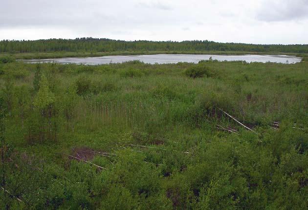 8 Liperi, Härkinlampi Härkinlampi on lintuvesityypiltään eteläinen lintujärvi, jonka rehevöityminen ei linnuston kannalta ole vielä edennyt haitallisen pitkälle.