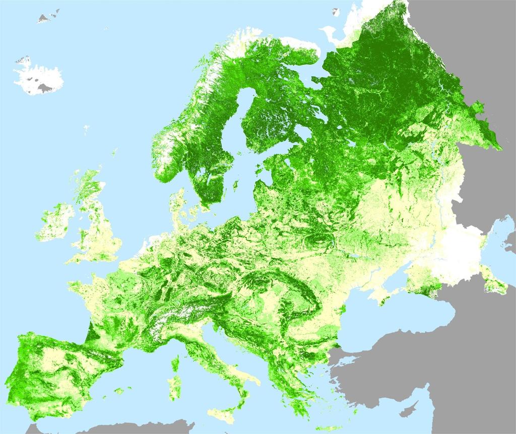 European Forest Institute (EFI) - eurooppalaista