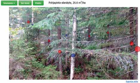 puhelinverkon kautta pilvipalvelimelle, joka konenäön avulla tunnistaa puut ja puulajit kuvasta (kuva 1). Kuvassa 1 näkyy kuinka Trestima:n mittausjärjestelmä on tunnistanut kuvasta puita.