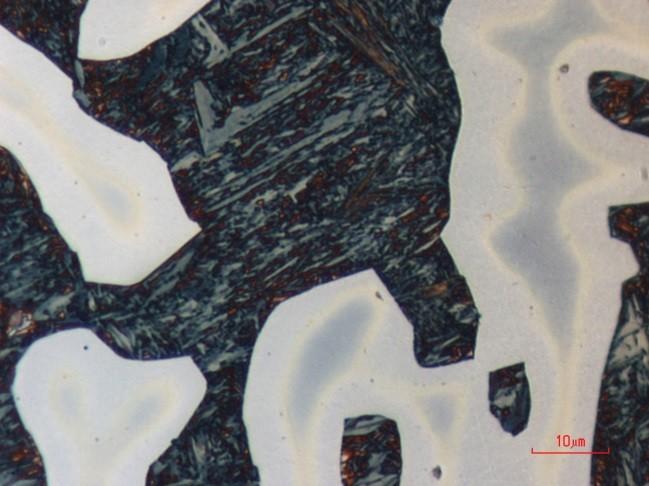 Dendriittisten alueiden osuuden huomattiin