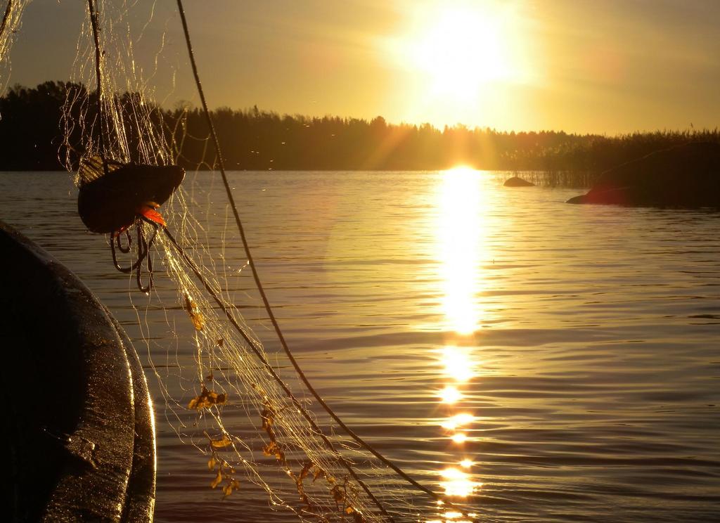 Riittääkö Selkämerellä kalaa myös lähivuosina ja miten kalasto