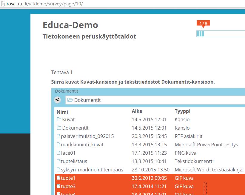 Työelämän ICT-taidot kaupan alalla päätoteuttaja: Turun yliopisto kotisivu: http://rosa.utu.