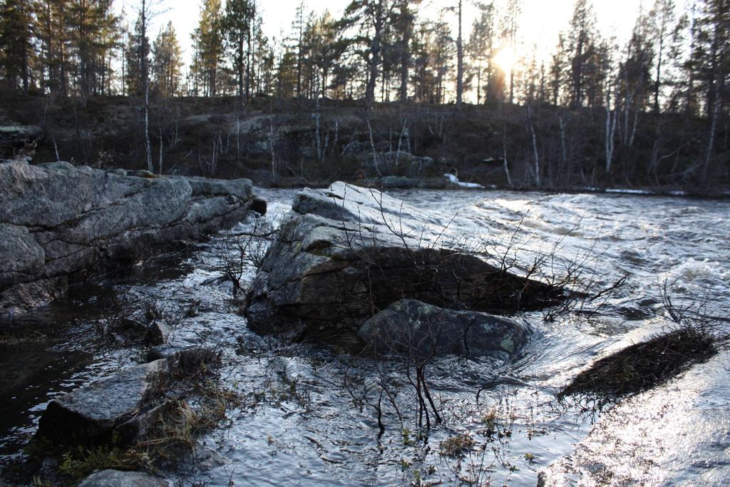 Kieliperustaiset erot Kieliperustaiset erot samansuuntaiset kuin palveluiden saatavuuskokemuksissa.