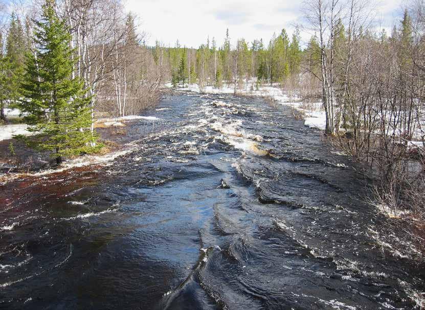 Muutamissa palautteissa kommentoitiin toimenpiteiden vaikutuksia vesienhoidon ympäristötavoitteiden saavuttamiseen.