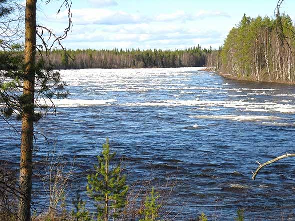 Vesilain nojalla valtion valvontaviranomainen voi myös laatia tarvittaessa padotus- ja juoksutusselvityksen toimenpiteistä, joilla tulvasta tai kuivuudesta aiheutuvia haitallisia vaikutuksia voidaan