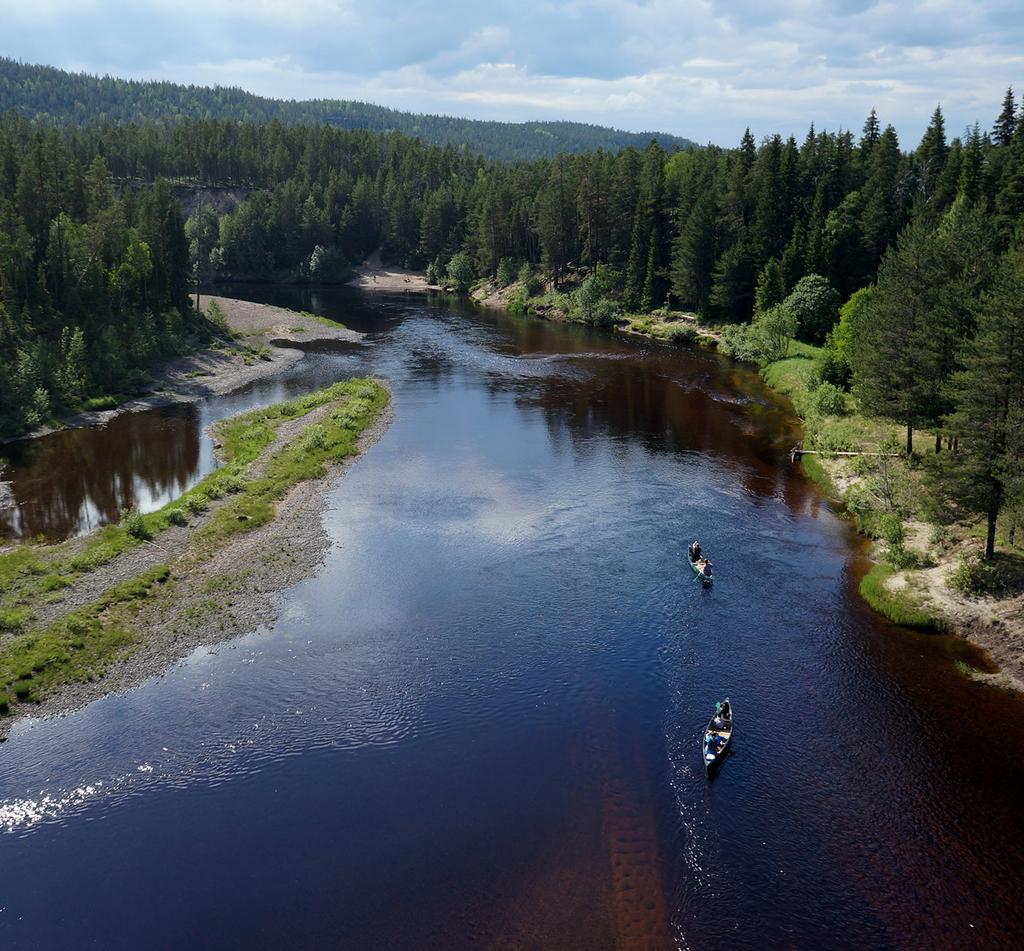 Täydentävä rahoitus Integrated Projects ~ complementary funding LIFE-rahoitusta täydentäviä hankkeita eri rahoitusmuodoista Täydentävät N2000 rahoitusta Ei rajoituta yksinomaan