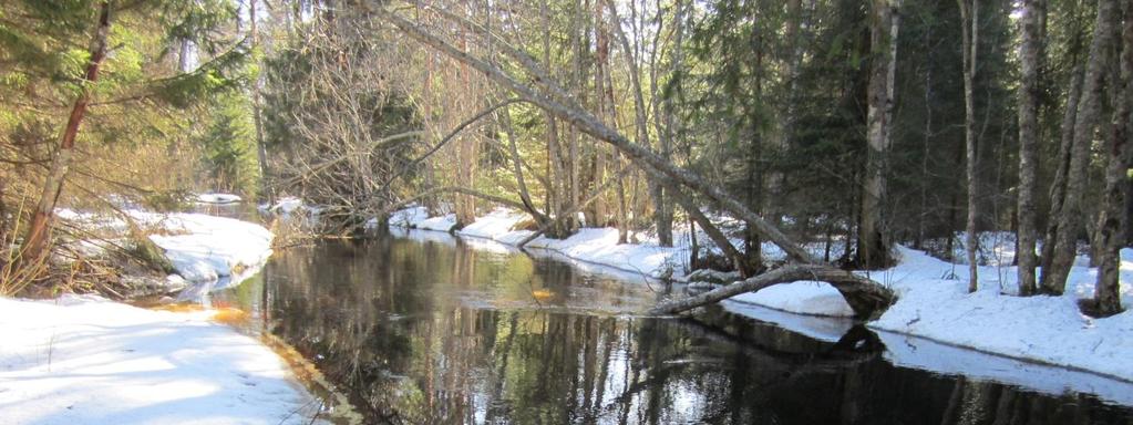 Tervahaudanmäki, Sikkilä Pinta-ala: 3,9 ha