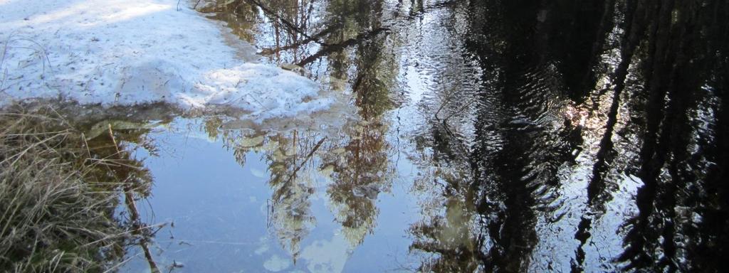 Erityistä: Petäjäsluoman jokivarsi, rajautuu