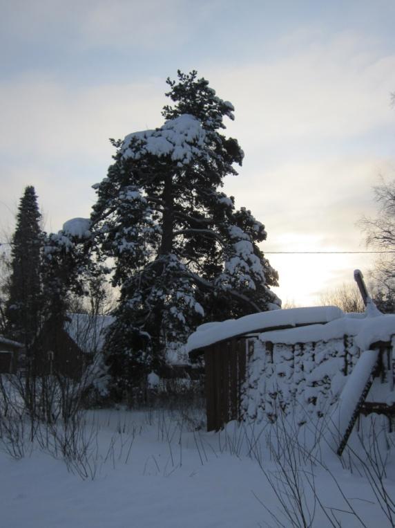 Luonnonsuojelulailla