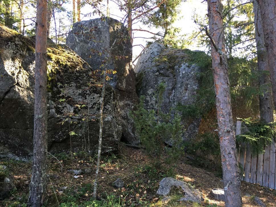 Avainbiotoopit ovat muusta metsäluonnosta poikkeavia elinympäristöjä, jotka saattavat ylläpitää sille erikoistunutta, muusta, tavanomaisesta metsäluonnosta poikkeavaa lajistoa, eiluonnontilaisenakin.