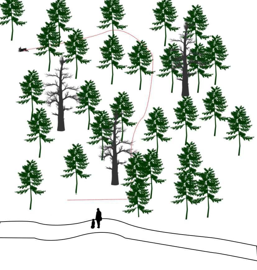 Suomen Noutajakoirajärjestö ry 46 Jäljestäminen Alussa jälki voi olla lyhyt esim. 30-50m Jos koira jäljestää hyvin niin jäljen pituutta voi lisätä esim. 150-200m.