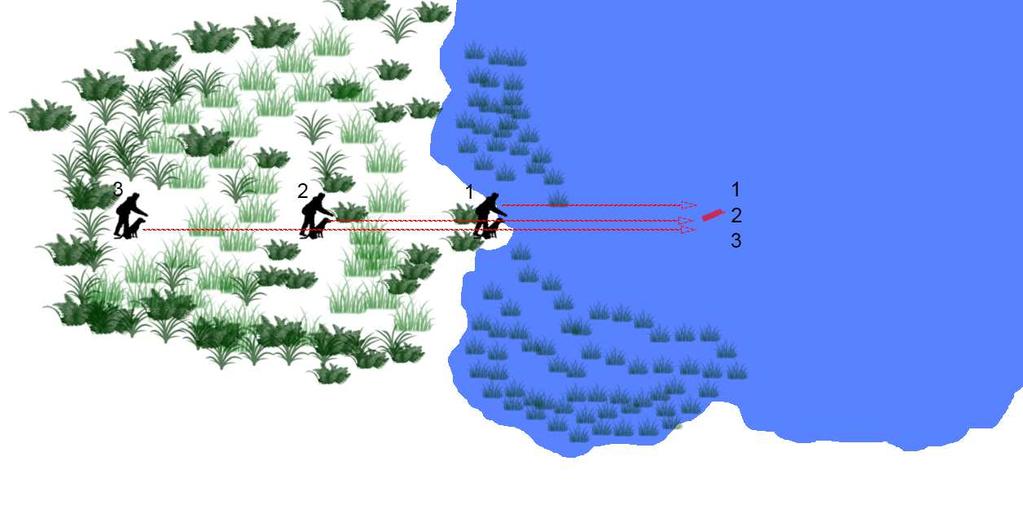 Suomen Noutajakoirajärjestö ry 53 Linjaharjoitus 3, maamatkan lisääminen: Aloitetaan rannasta Dami aina suunnilleen samaan paikkaan Joko ohjaaja tai avustaja heittää (mielellään avustaja) Lisätään
