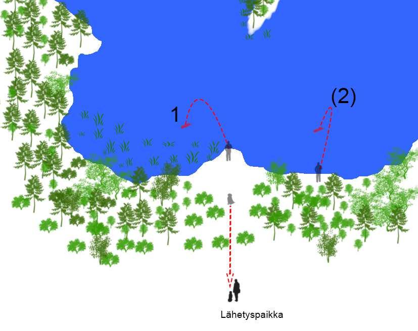 Suomen Noutajakoirajärjestö ry 58 Muistiharjoitus vedessä: Koira jätetään istumaan rantaan Avustaja tai ohjaaja heittää damin(1-2) Siirrytään koiran kanssa rannasta 20-50 m Lähetetään koira noutoon