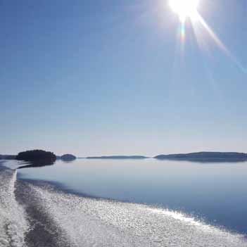 Saimaa ja viiksiveikot SUKELLA SAIMAANNORPAN SYN- NYINMAILLE 2 PÄIVÄÄ, HINTA 330,-/hlö Tällä matkalla tutustumme Saimaan kauniiseen ja ainutlaatuiseen järviluontoon sekä tietysti järven kuuluisaan
