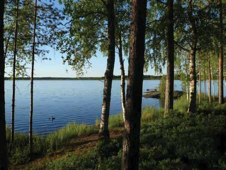Linnasaaren kansallispuistossa järjestetyllä norppasafarilla meillä on mahdollisuus bongata norppa loikoilemassa kiven päällä ja nauttimassa kesän ensikosketuksesta!