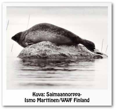 Luontomatkoilla noudatetaan ekomatkailun periaatteita, eli liikutaan luonnossa eläimiä häiritsemättä ja luontoa vahingoittamatta TUE JA SUOJELE MATKUSTAEN Jokaisesta