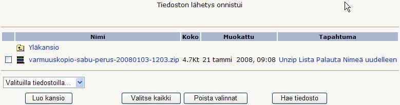 Seuraavaksi näytöllä pitäisi näkyä Tiedoston lähetys onnistuiteksti, kts. kuva 3.3e alla.