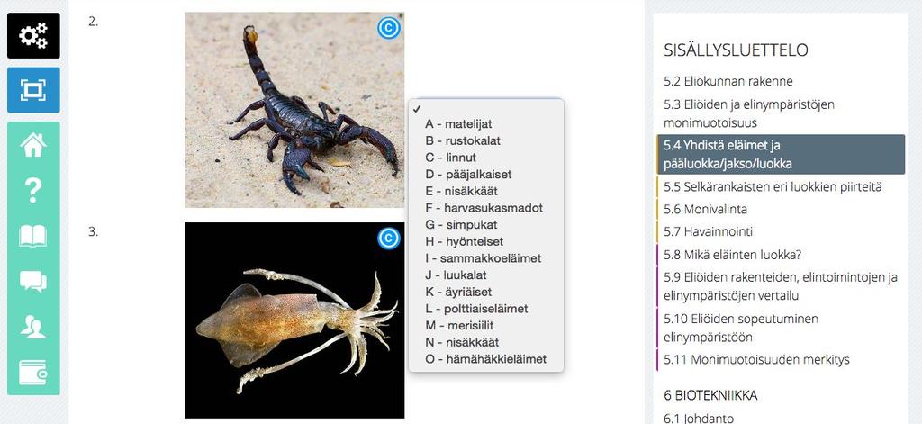 Vuorovaikutteisuus käyttöympäristön suoman teknologian