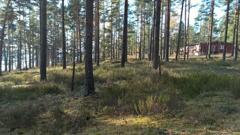 merkittävä. Högsand sanatorio on merkitty muun muassa Senaatin karttaan.