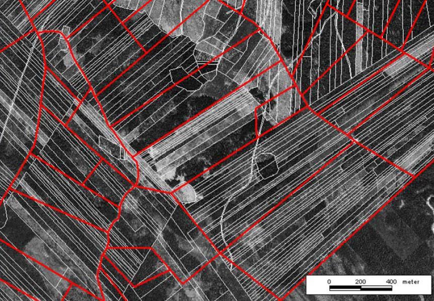 Esimerkki: Ruotsalainen uusjako (1/2) Ruotsissa uusjakojen painopiste on metsätilusjärjestelyjen toteuttamisessa.