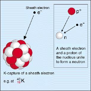 Ydin voi hajota positroniemissiolla silloin, kun sen ytimessä on liikaa protoneja suhteessa neutroneihin: A Z X A Y Z 1 e β + -hajoaminen voi tapahtua, jos neutraalin emoatomin massa on vähintään