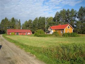 Siuruantörmän kokonaisuutta. Pihapiirissä on asuinrakennuksen lisäksi talousrakennuksia, mm. aittoja ja navettarakennus.