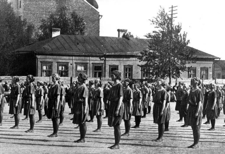 Puut istutettiin kahden viipurilaisen vuoden 1936 olympiakultamitalistin, nyrkkeilijä Sten Suvion ja