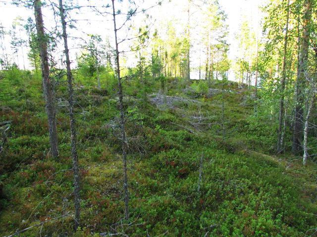 8 5. Nirkonniemi (Kesohiekanselkä) (LIITTEET, Kartta 4.) Nirkonniemen suunnittelualue on niemen kalliosta itärantaa. Rannan edustalla on pienialaisia luotoja ja siirtolohkareita vedessä.