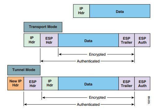 42 VPN yhteys voi toimia kahdella eri tavalla. Käytössä voi olla joko siirtomoodi tai tunnelimoodi. Siirtomoodissa ainoastaan kehyksen hyötydata on salattu, eikä IP otsikkoa muuteta.