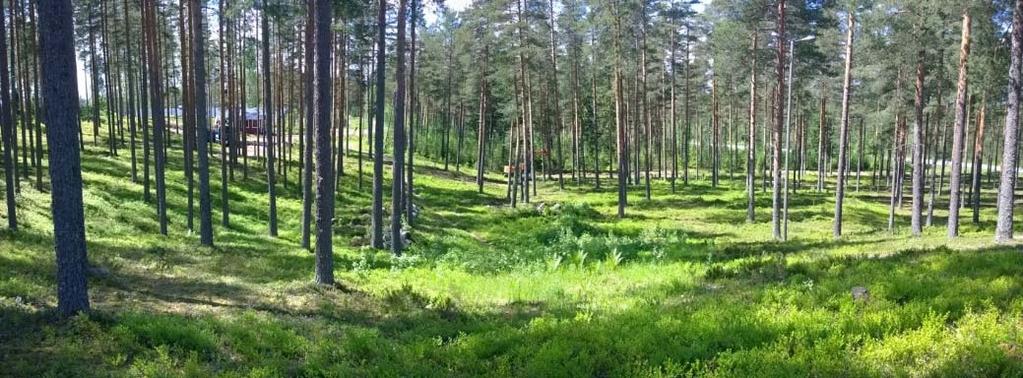 2. Tutkimusalueen sijainti ja historia 2.1 Tutkimusalueen sijainti Taavetin linnoitus sijaitsee Luumäen kunnan Taavetin kylässä kattaen suuren osan nykyistä kuntakeskustaa.