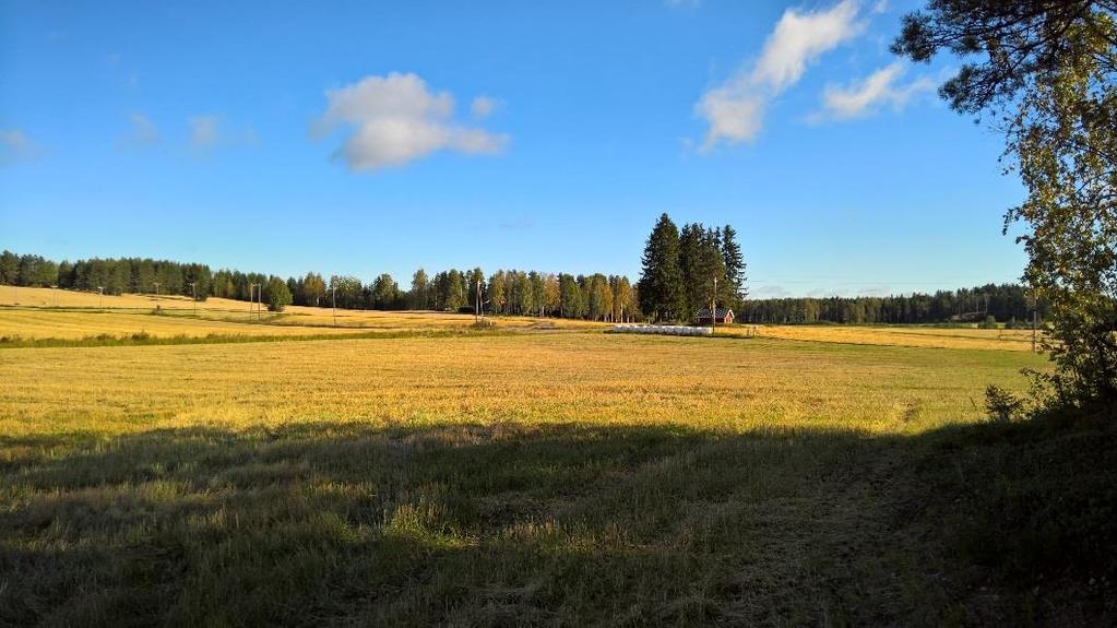 29/40 LUUMÄEN KUNTA Kuva 6. Heimalan pohjavesialuetta syyskuussa 2016. 7.7.1. Hydrogeologia Heimalan pohjavesialueen sijainti on I Salpausselän eteläpuolella.