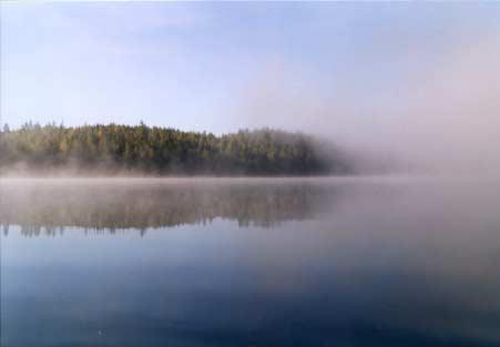 eliöstö- ja biotooppiselvitys 3.3. Vesistöt Kuva 1. Särkijärvi syyskuussa 2001 Selvitysalueen merkittävin vesistö on Särkijärvi (kuva 1).