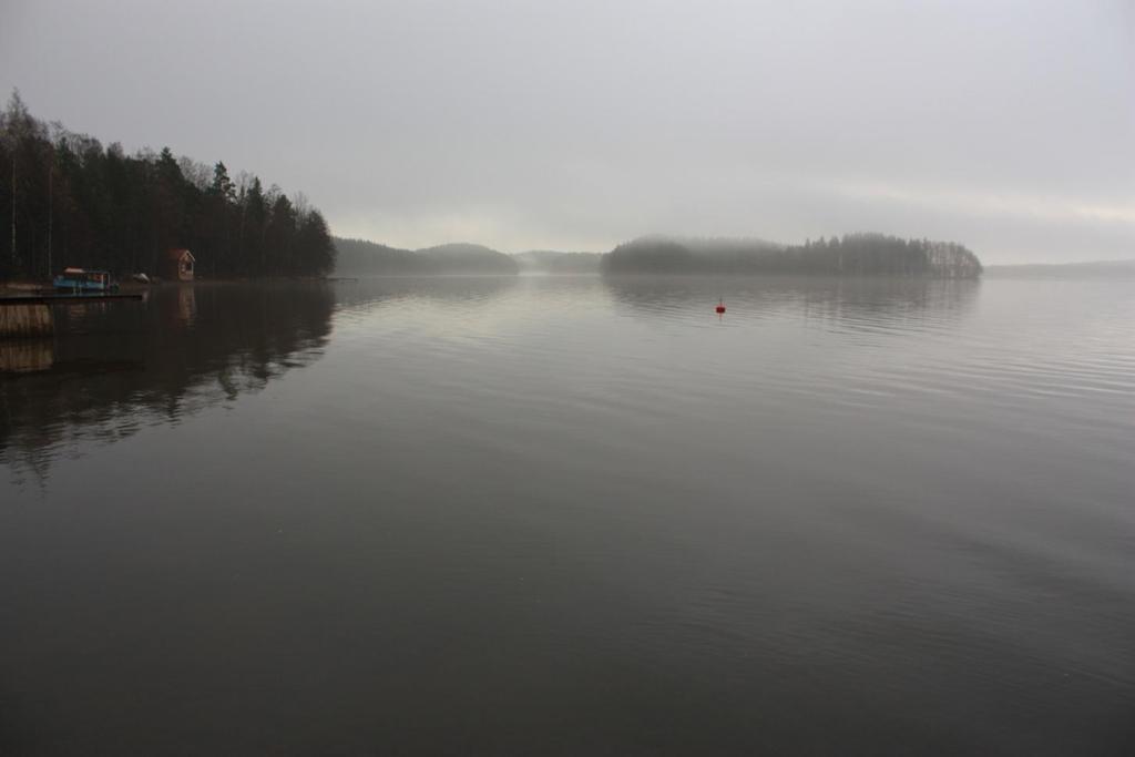 Tammela Kukkuramäki Kivikautisen asuinpaikan kaivaus Venesillan