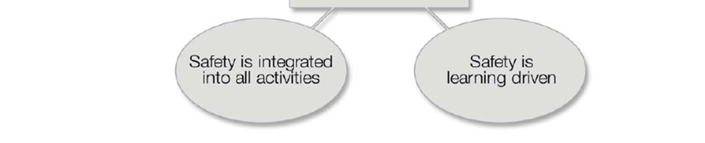 Agency (IAEA) safety culture model, Accident Analysis and