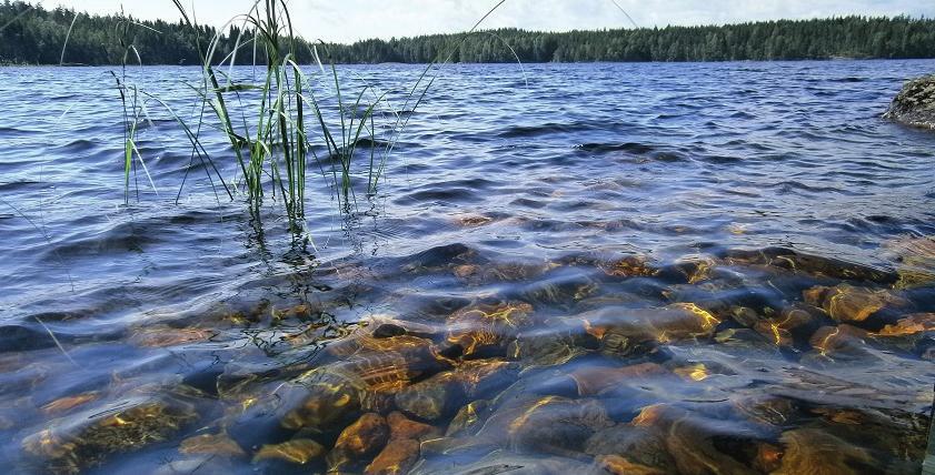 VisitFinland Një fotografi e zakonshme e shkrepur nga një shtëpi verore ku tregon pastertinë e