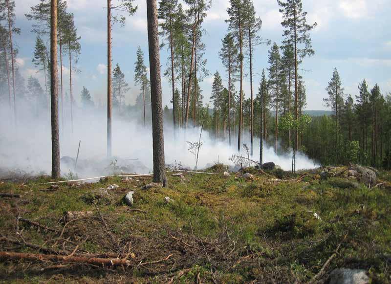 106 tai pala kiinni. Myös hydrauliikkasylinterit ja -varret sekä varsien tiivisteet suojataan kipinävaurioiden välttämiseksi.