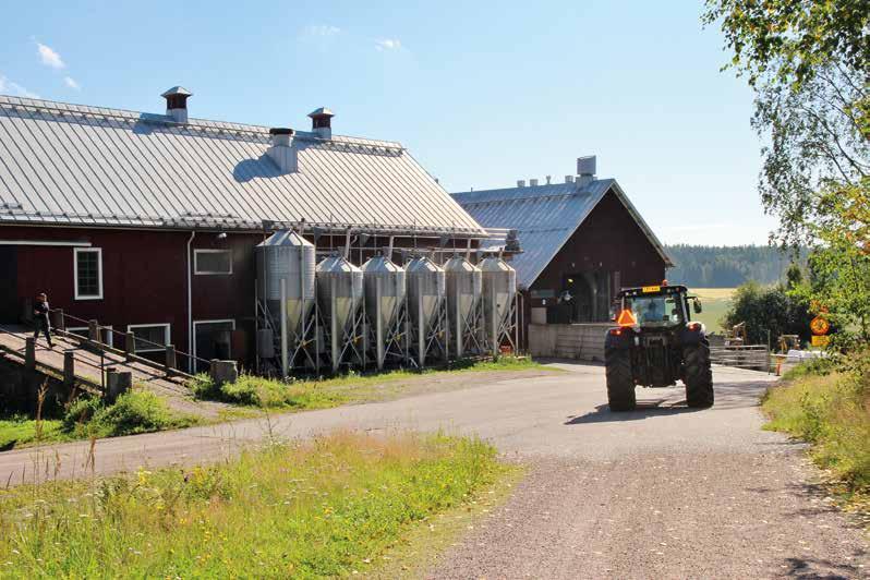 118 12.13 Tulityöt maatilalla Juhani Savolainen, riskipäällikkö, LähiTapiola Nykyaikaiset maatilat ovat kasvaneet ja monipuolistuneet yritystoiminnan luonteisiksi tulostavoitteellisiksi yksiköiksi.
