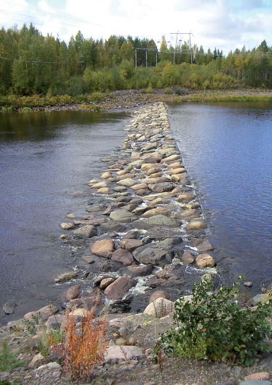 SUOMEN YMPÄRISTÖ 8