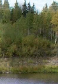 ja voimakkaasti