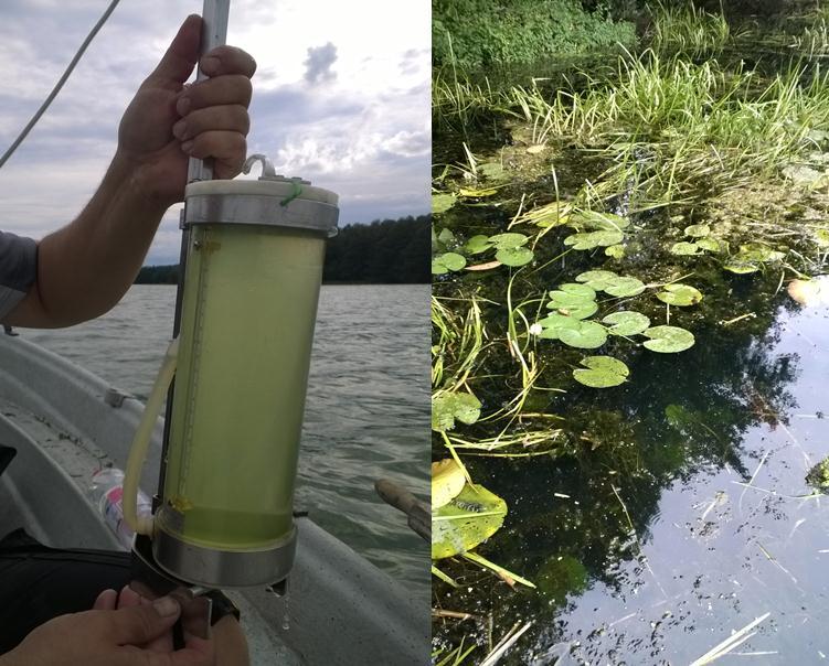 Kuohunlahden vesi oli erittäin kirkasta ja lahti kauttaaltaan