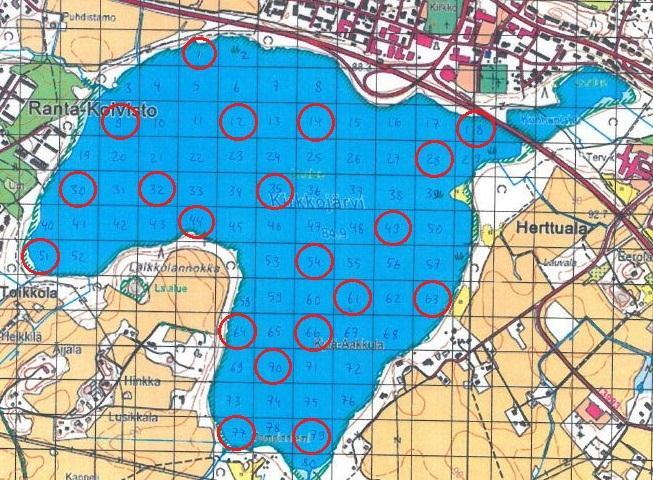 3 Tehokas talkooväki käsitteli koekalastussaaliin Kuohunlahden ranta-alueella. Kalat päästettiin verkoista ja mitattiin solmuväleittäin.